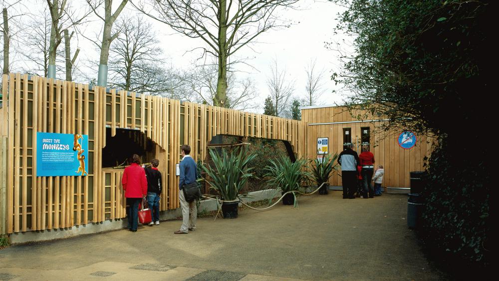 Meet the Monkeys, London Zoo Proctor & Matthews Architects
